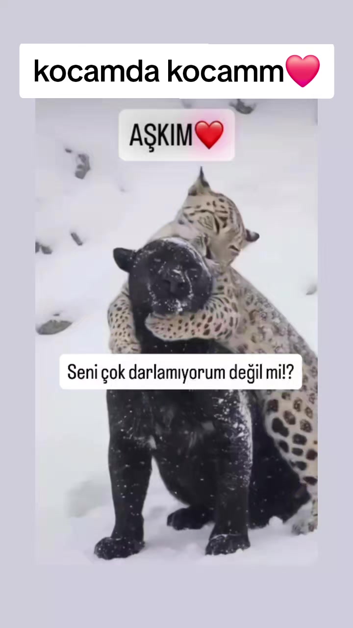 @🤍🖤ÖMER❤️ROSE🖤🤍