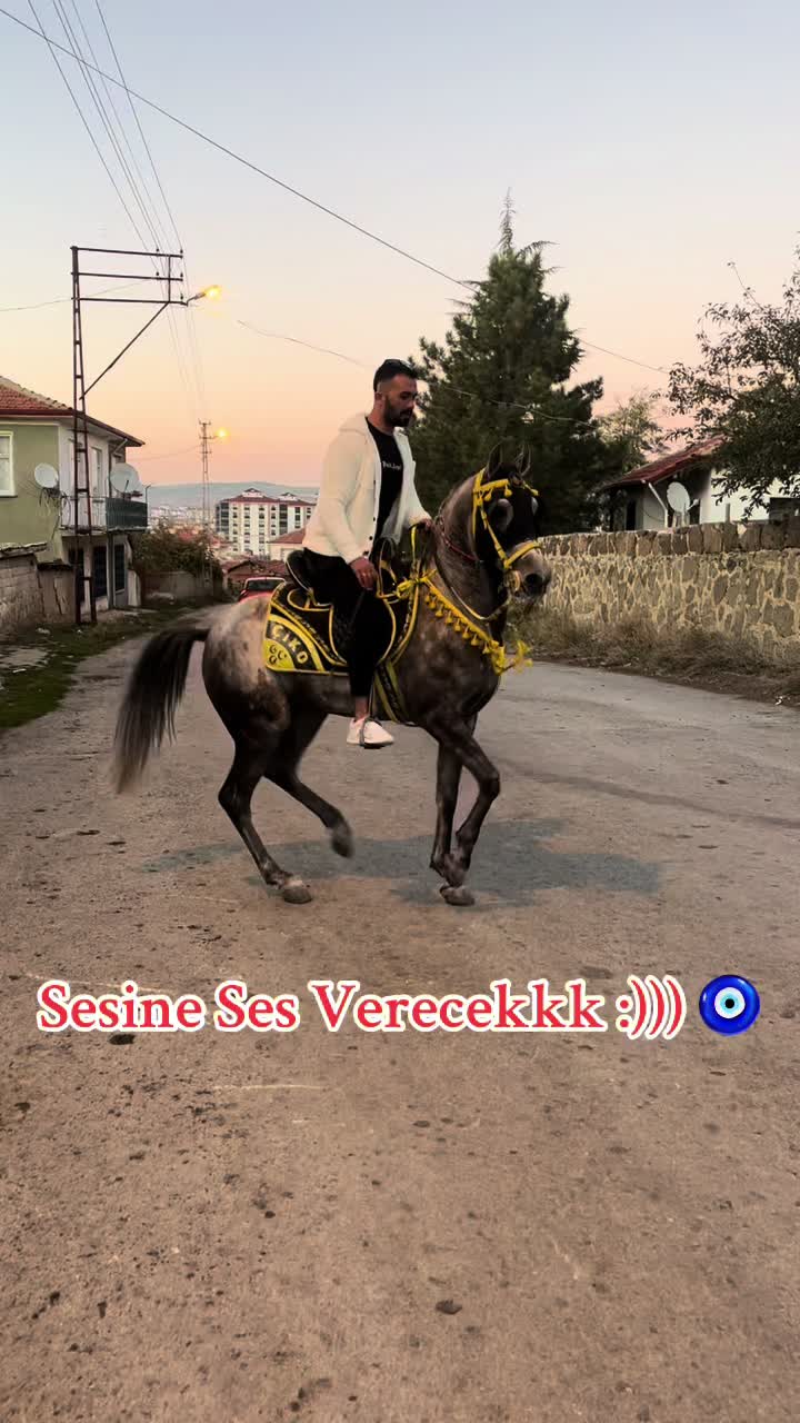 @FATİH CEYLAN