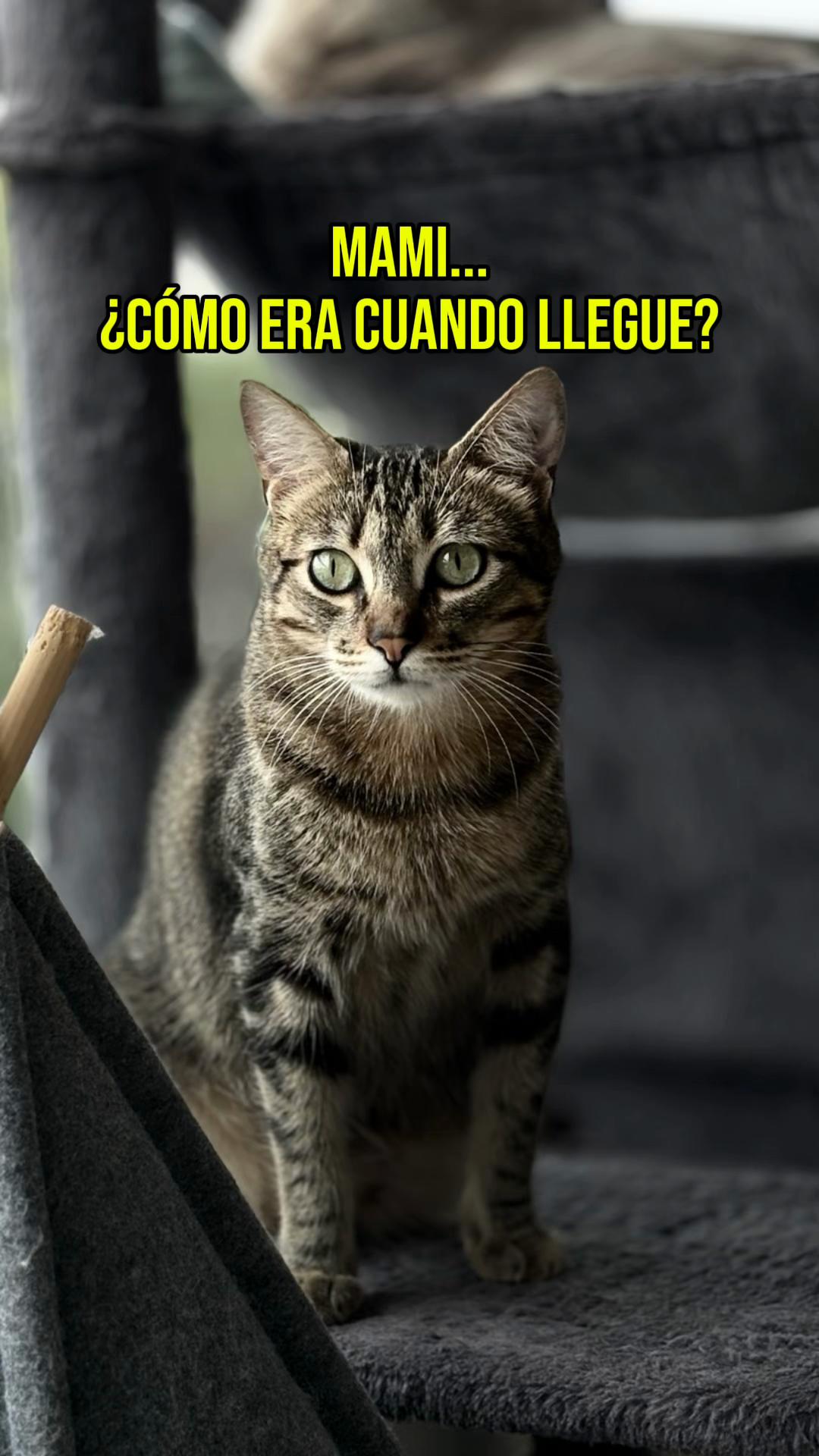 @lauratrujillo.oficial