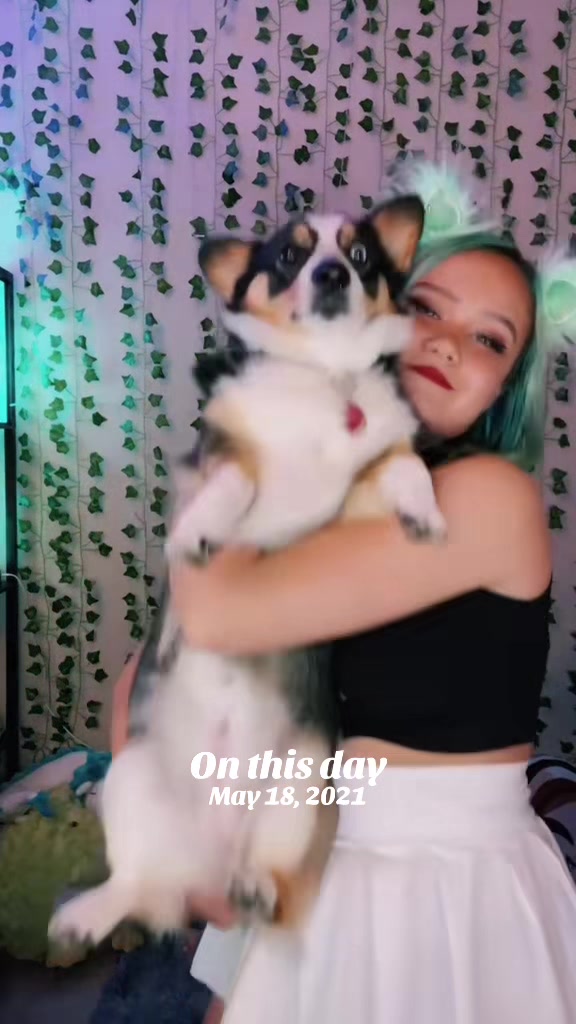 @BassKittenTV 😈