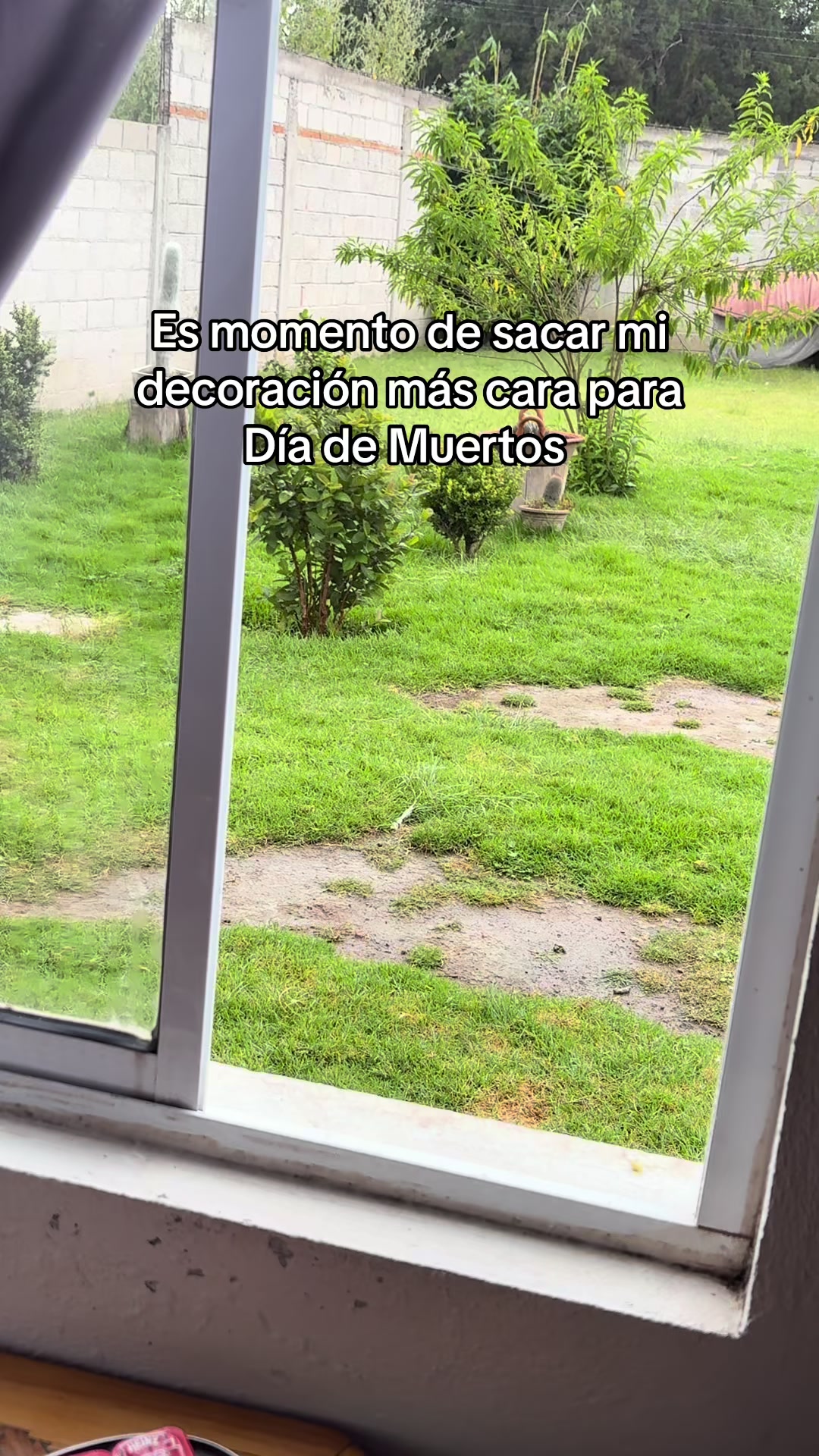 @arumivazquezg