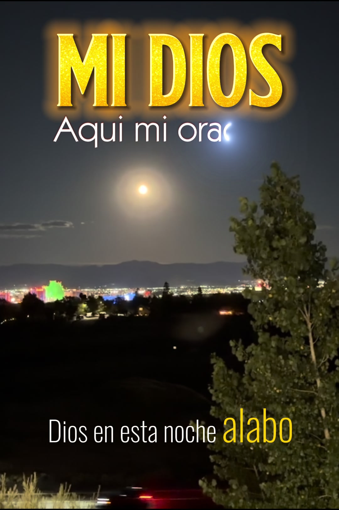 @Silvia Cabrera465