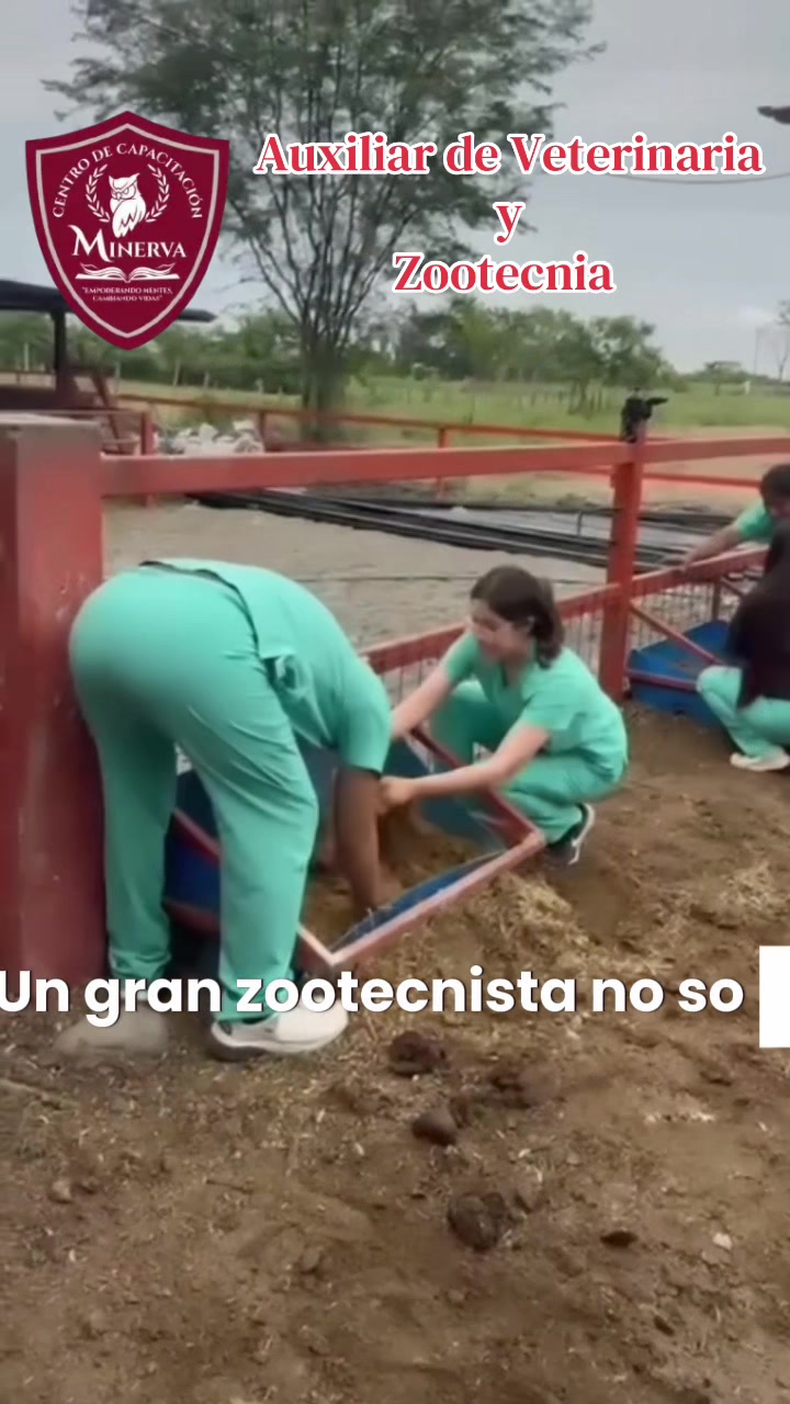 @minervamilagroguayaquil