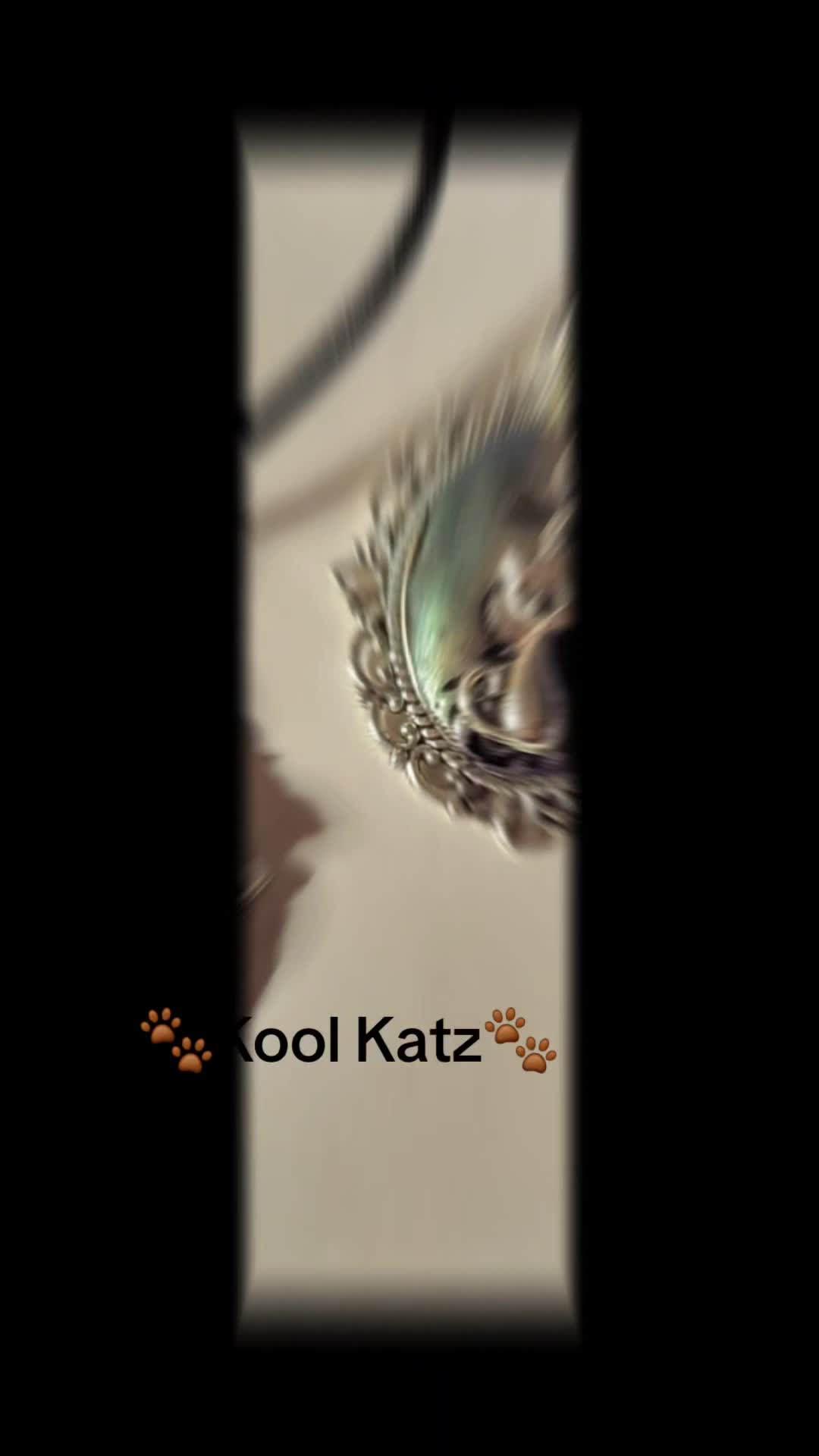 @Kelli Landerman