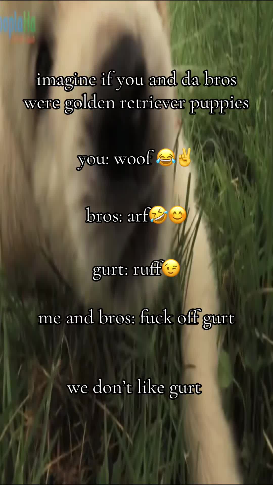 @clubpenguinwarrior26