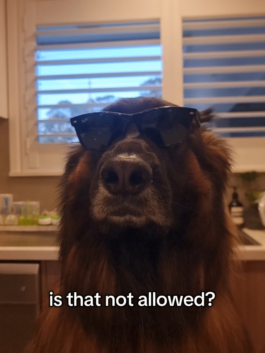 @Phoenix and Rex