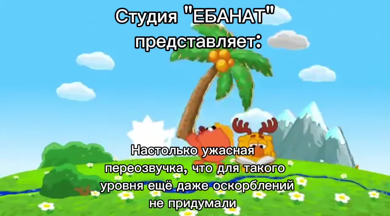 @Видосер