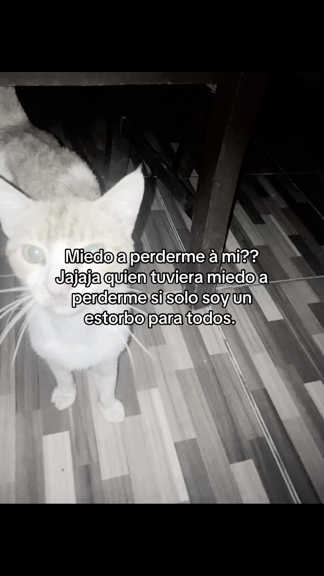 @Nilsido Luis