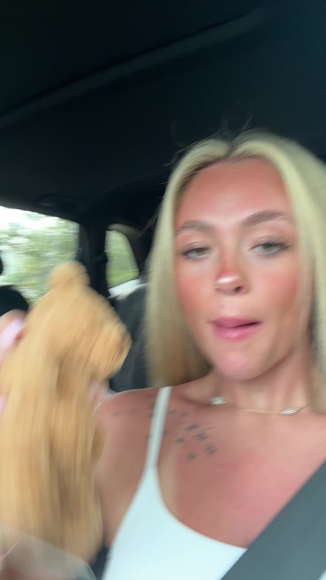 @dev