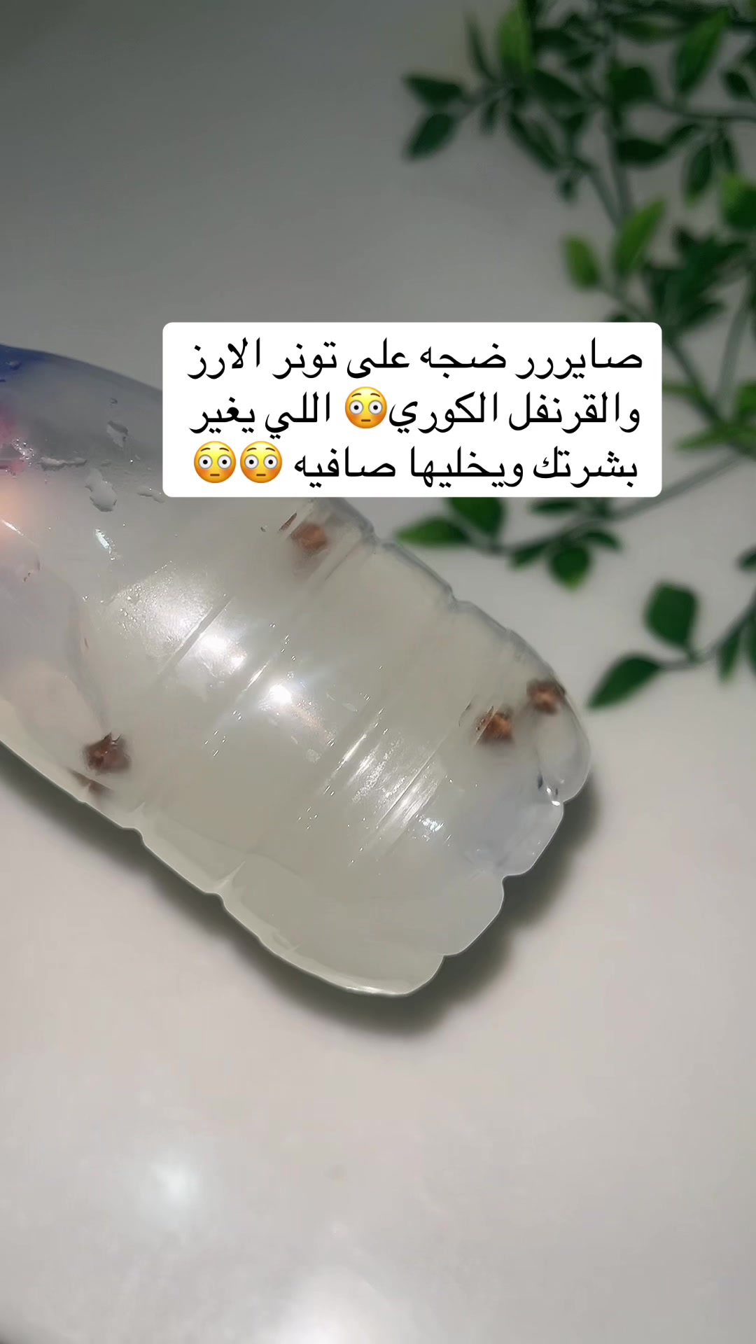 @فراشه 🦋