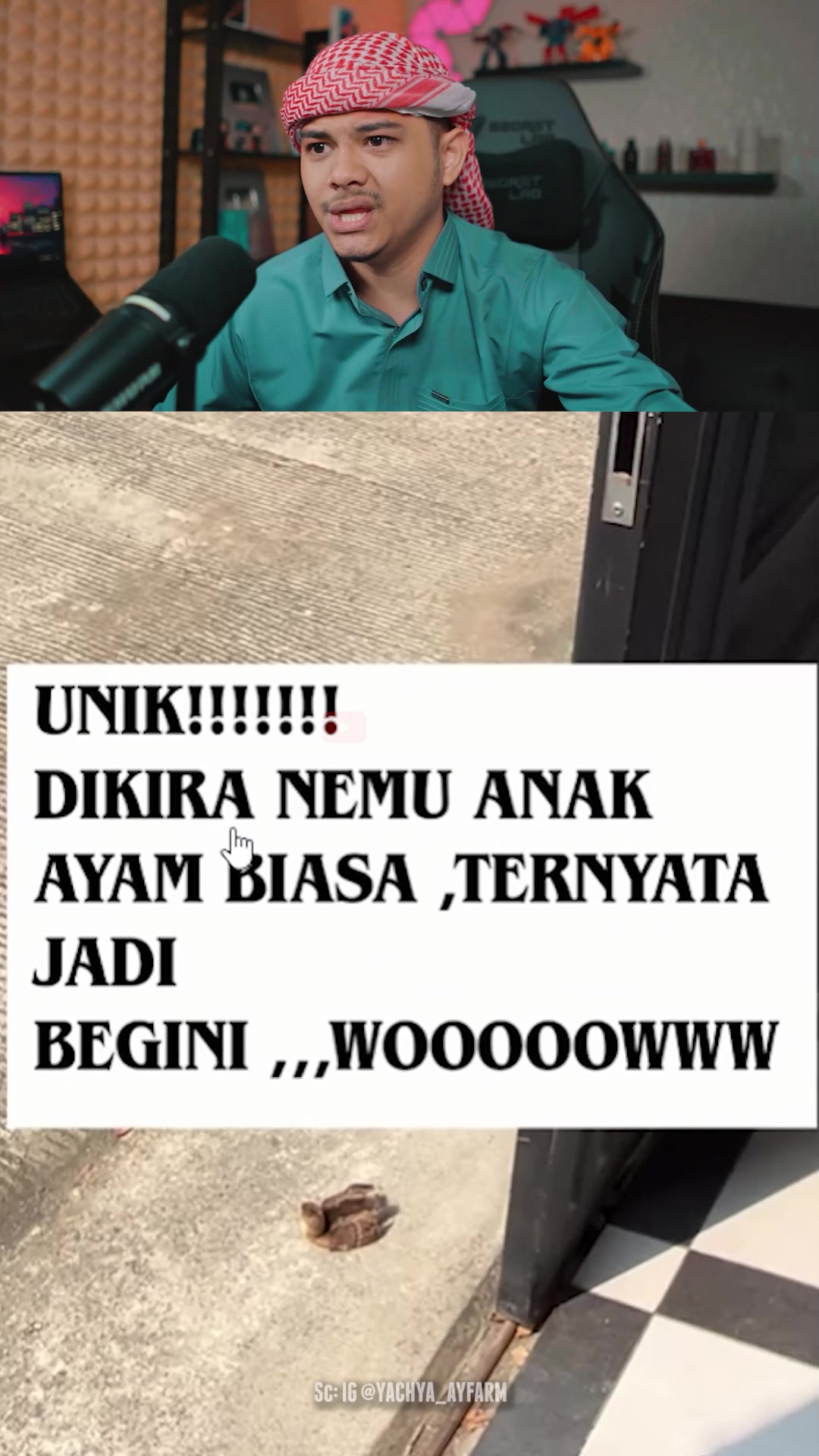@Rizky Aulia