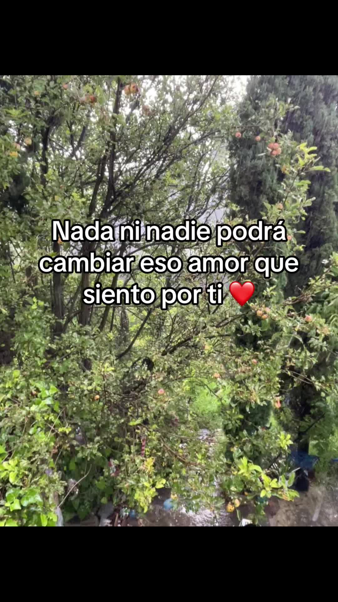 @cn_bris