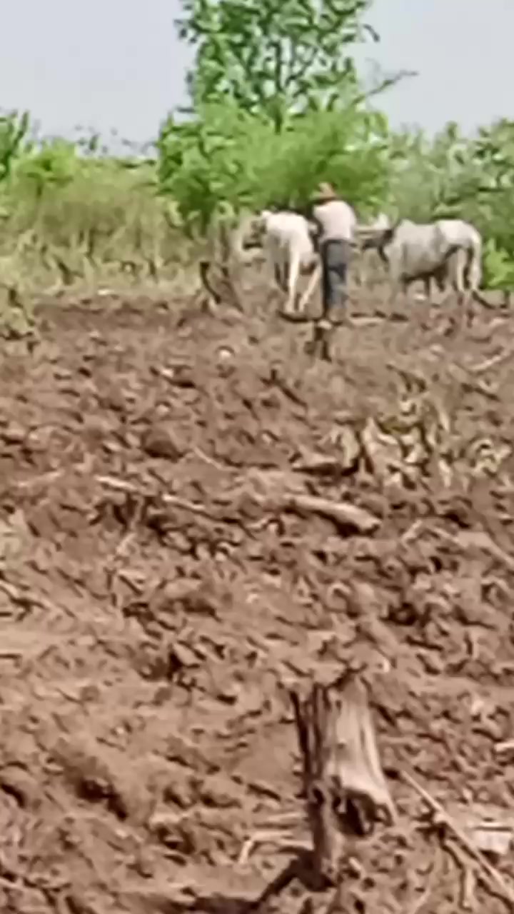 @ဝေဝေဖြိုး