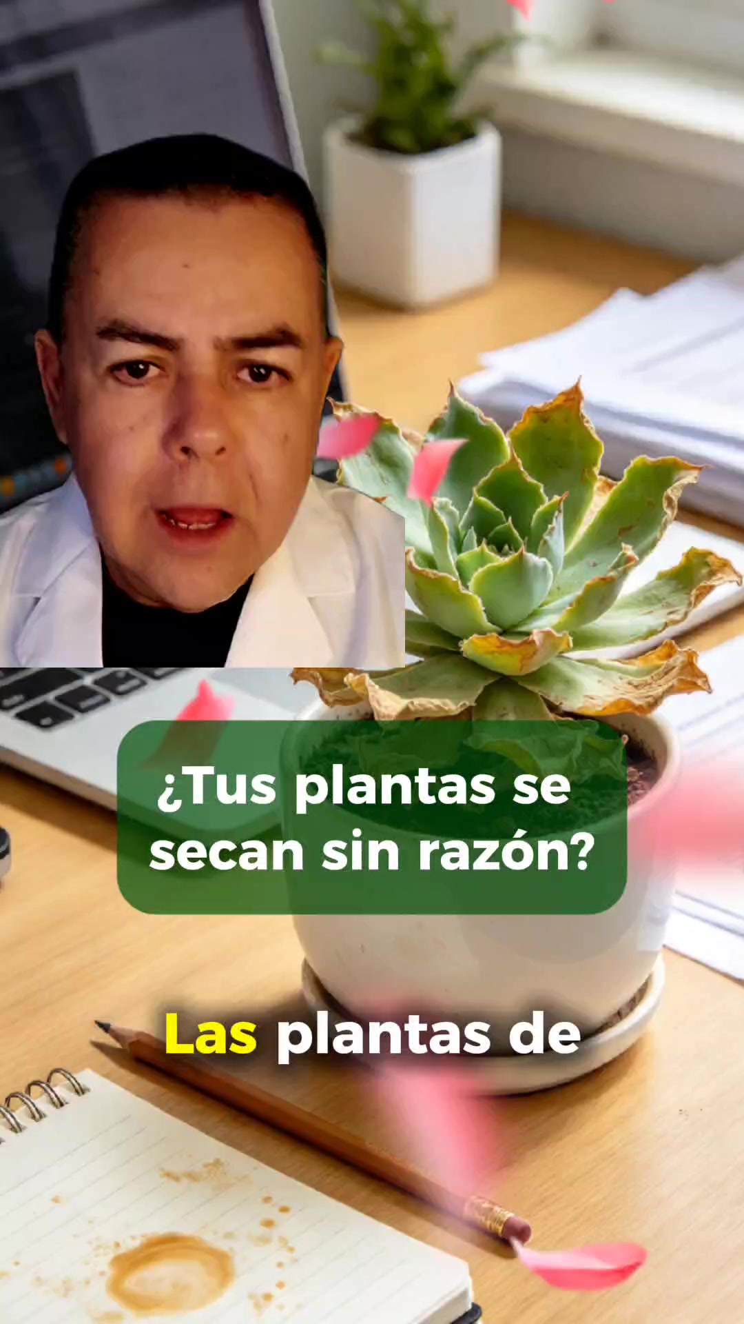 @roberto avaria
