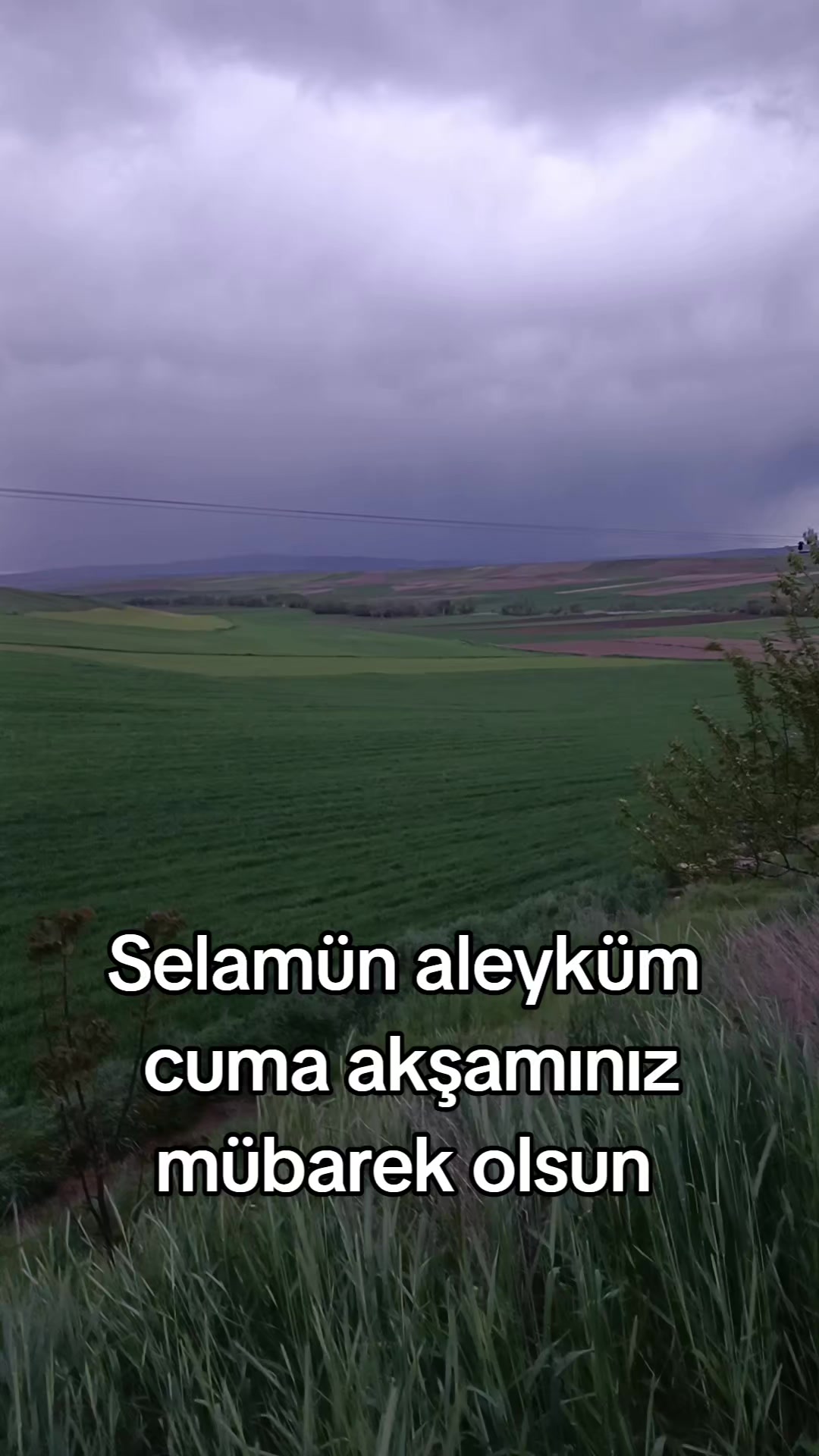 @yılmaz &Ccedil;etinkaya
