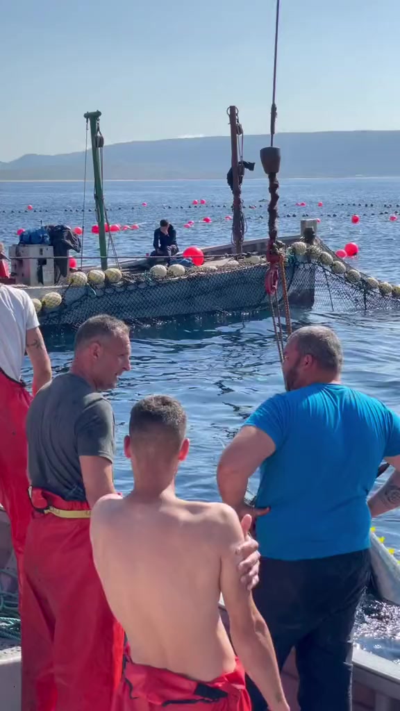@🛳️h&agrave;m&igrave;d&oslash;⚓⚡R&aelig;ys&euml;🐬🏴&zwj;☠️