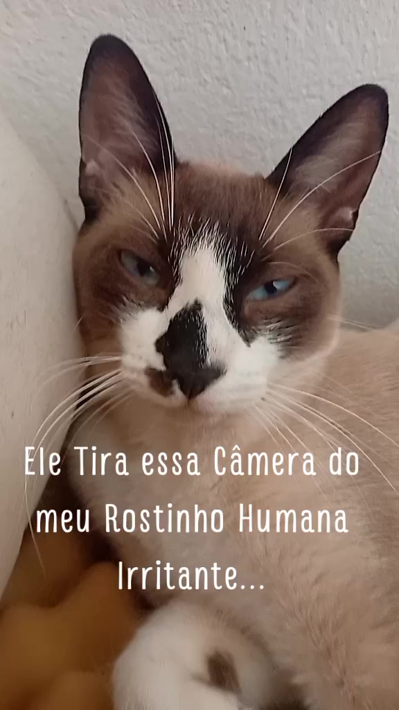 @Planeta Da Baby 💋