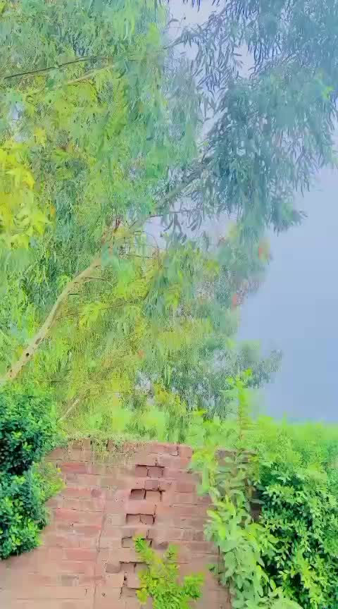 @Ali akbar Dogar