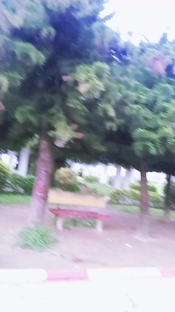 @Rupa pulami