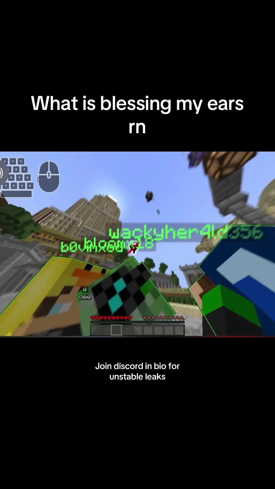 @yayc0b