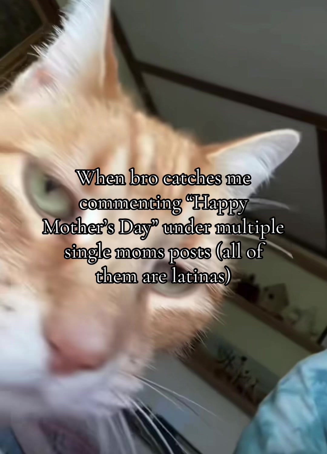 @🐺