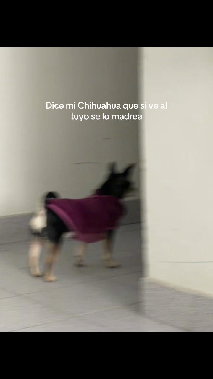 @𝑬𝒎𝒆𝒍𝒊𝒛 𝑹𝒂𝒎𝒐𝒔