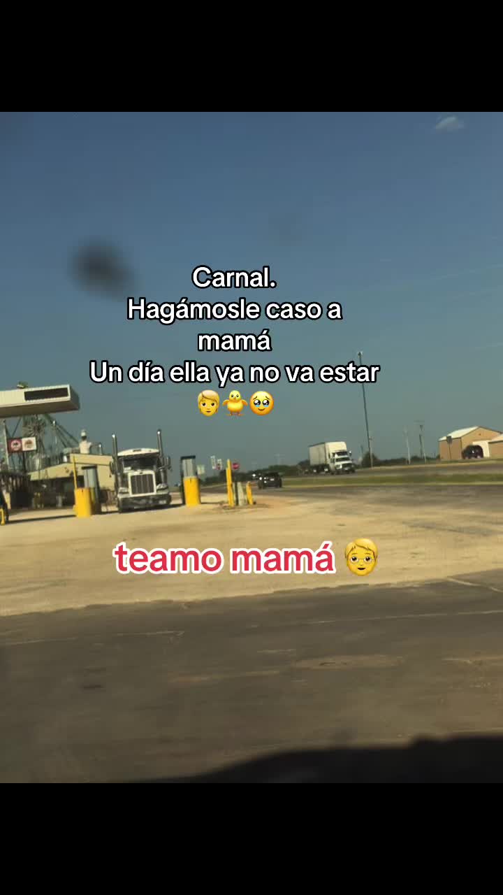 @Frank 🕷️🐥