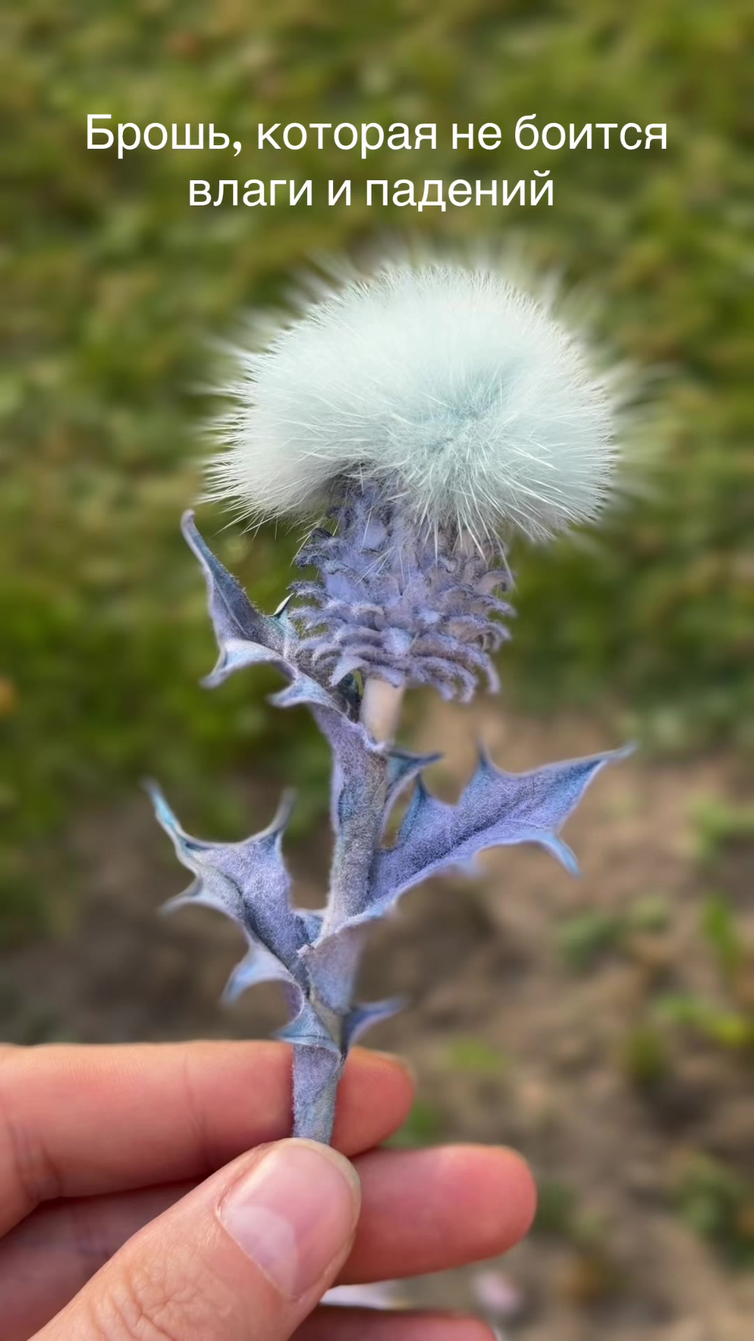 @tanya_forest_flowers