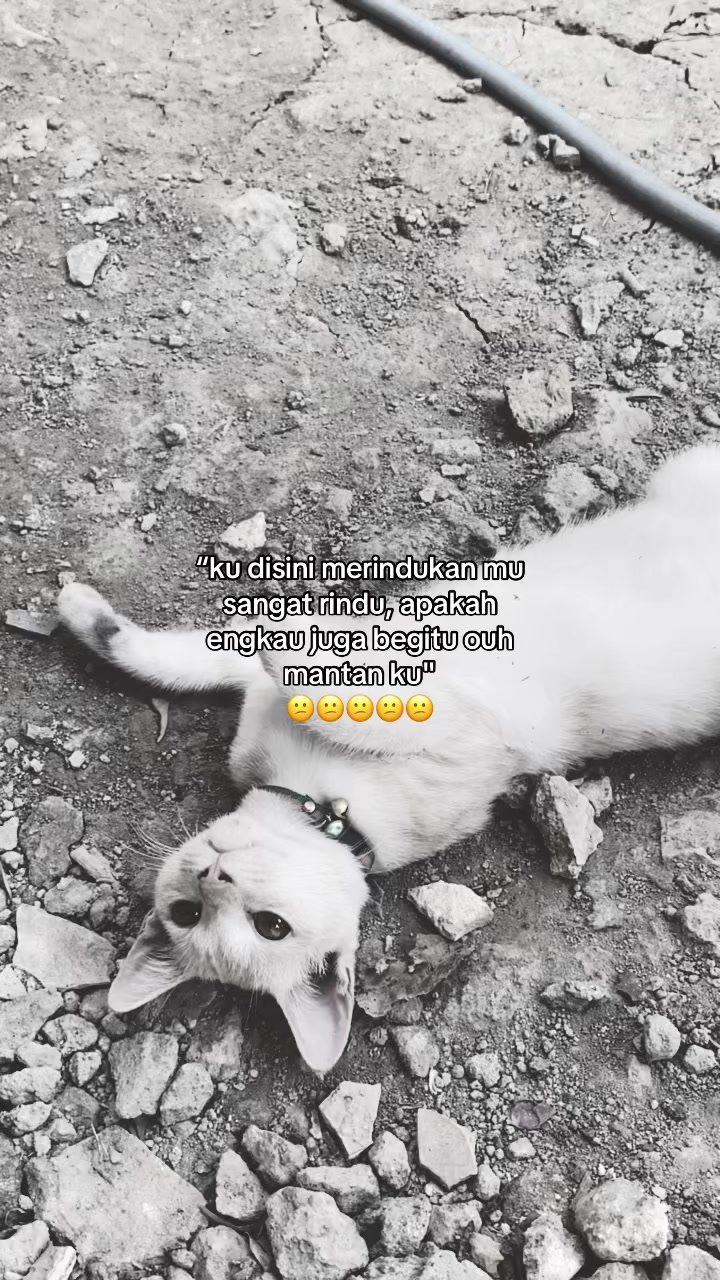 @idk🤷🏻♀️