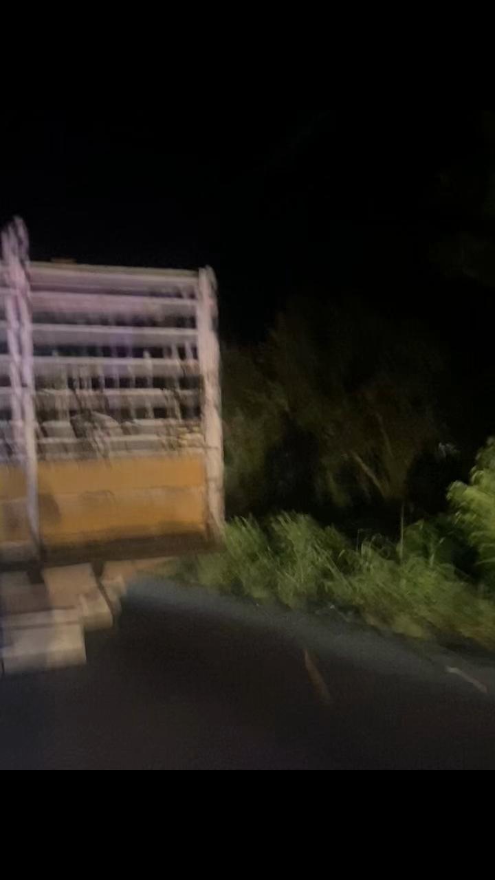 @Alex González🤠38