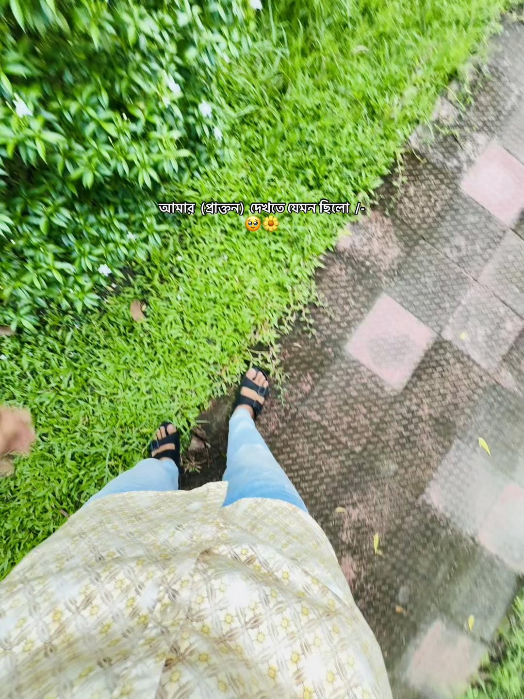 @AR IF ⚡️