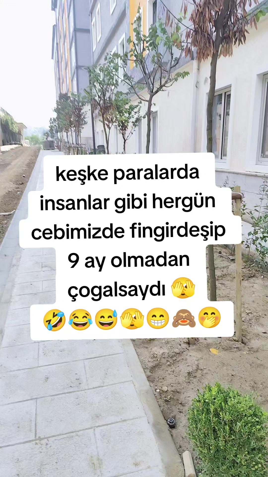 @☪⃝🕊️ѕυѕкυи кяαℓ☪⃝👑
