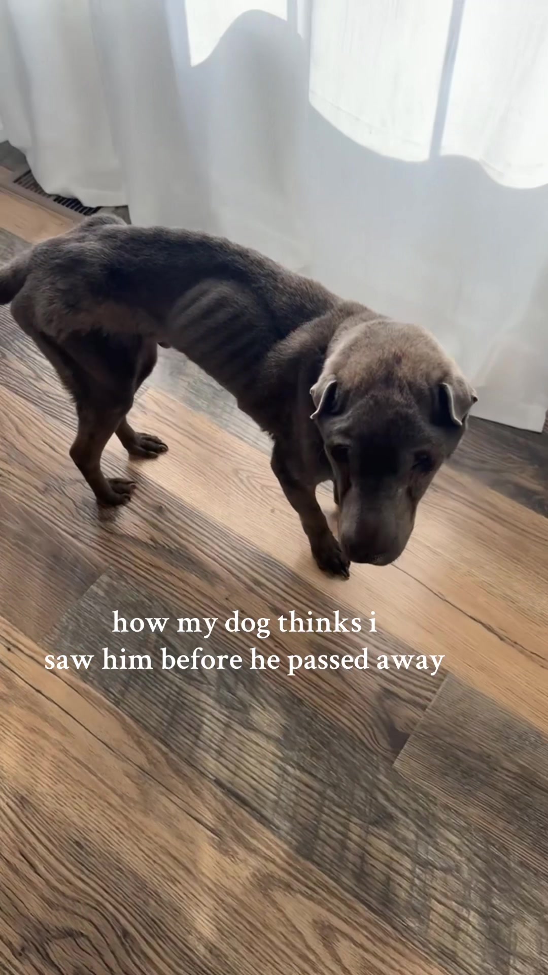 @skylar
