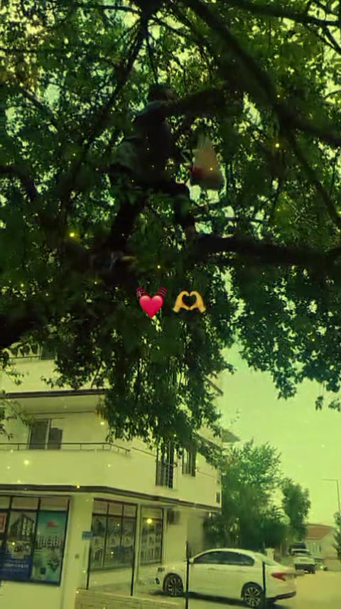 @☪52𝐋𝐞𝐲𝐥𝐨ş59✪