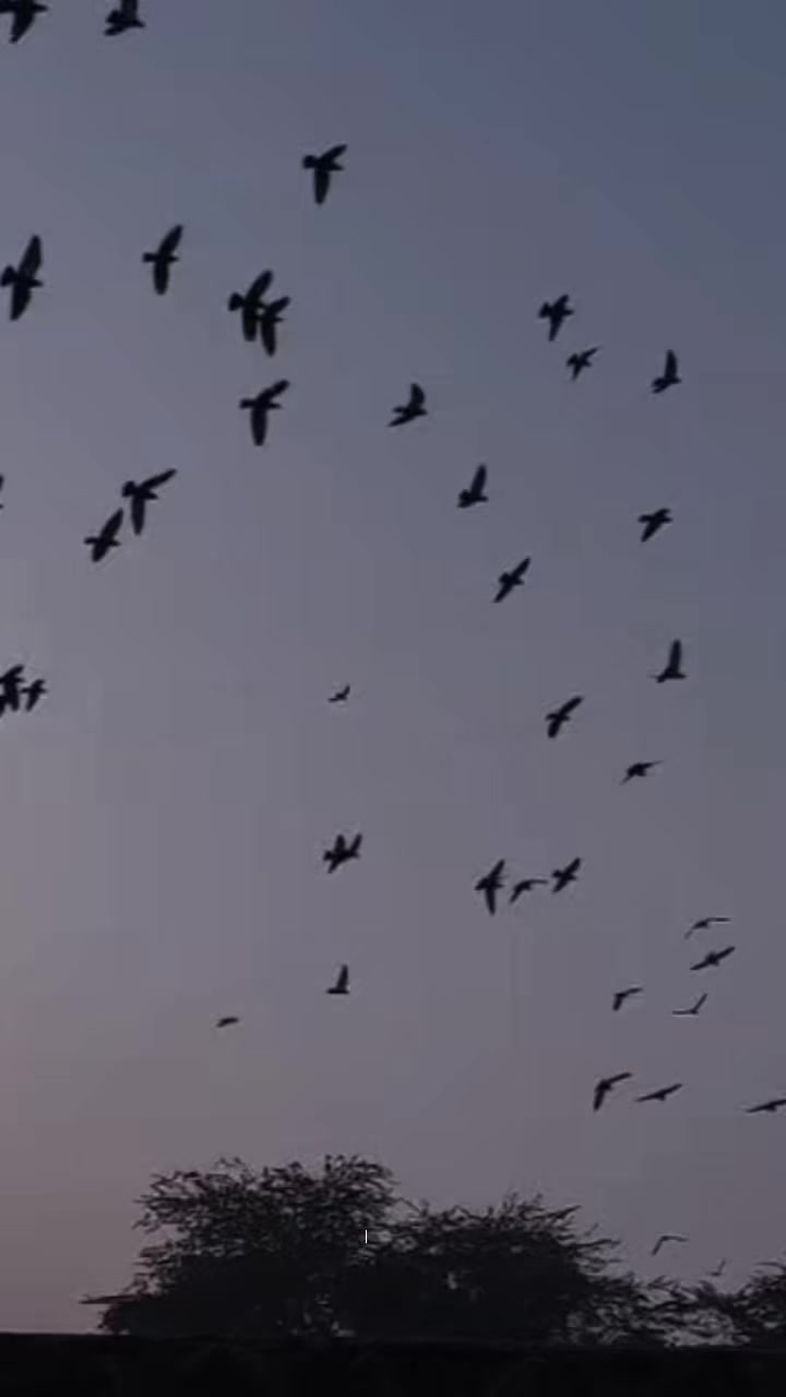 @Aنum Saقib 🇬🇧🇵🇰