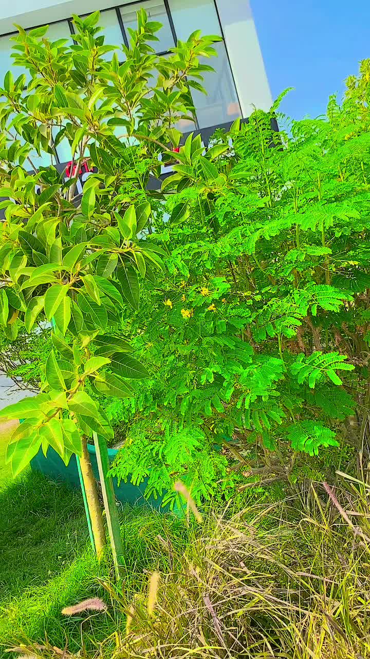 @فرحان سنڌي