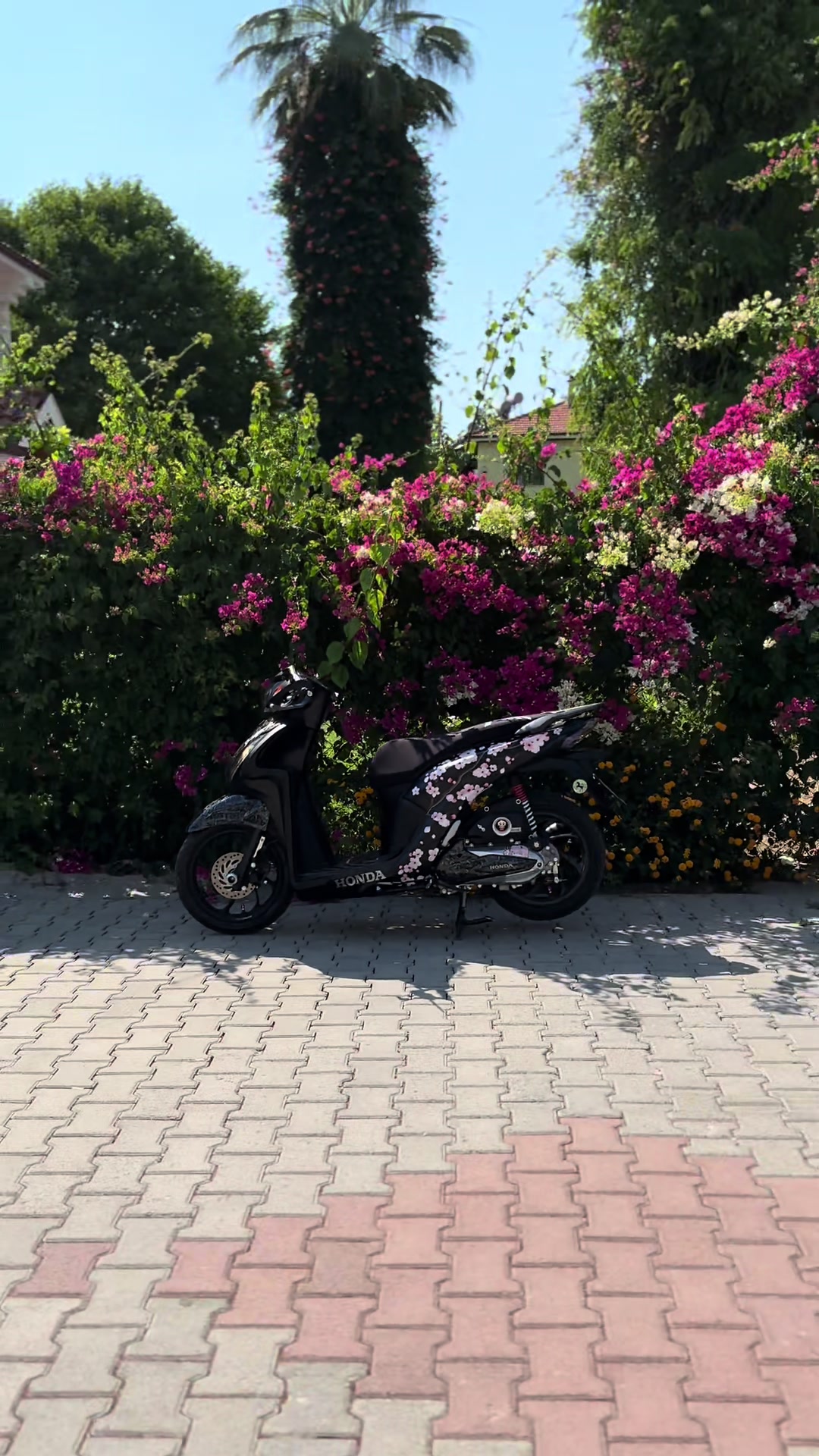 @𝐒𝐓.