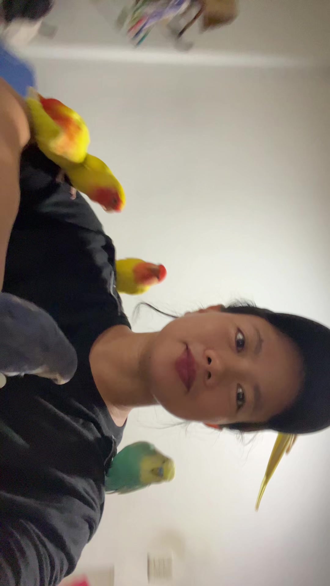 @crisaandbirds