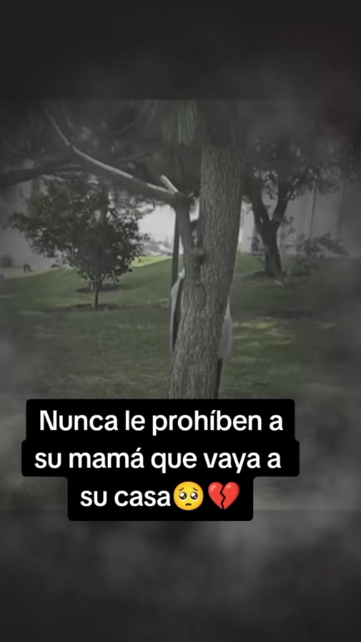 @𝑺𝒊𝒍𝒗𝒚 𝑶𝒔𝒐𝒓𝒊𝒐