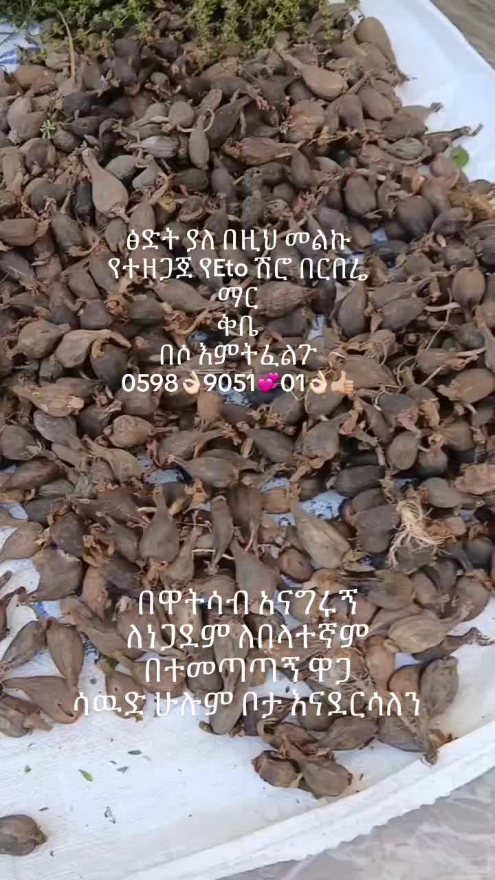@አለውያ  ሰይድ 0598905101