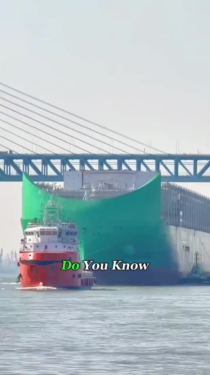 @INTERESTING VIDEO'S