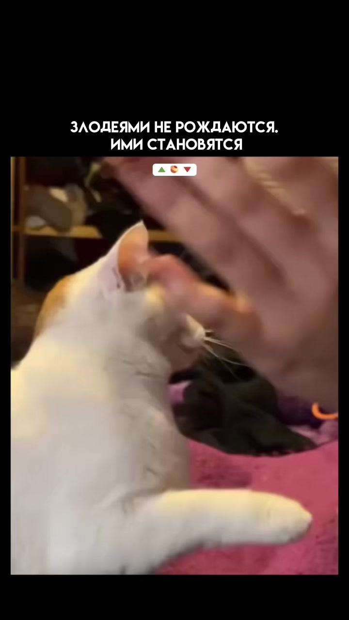 @Pikabu