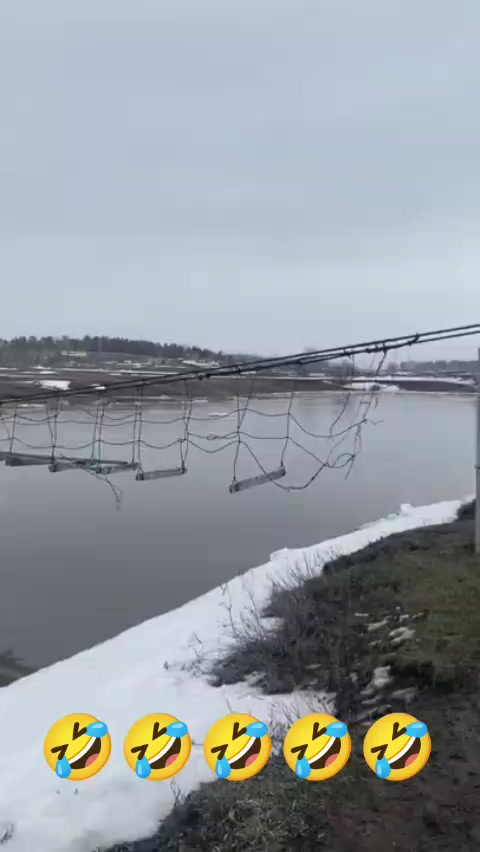 @Дэнчик Кэт