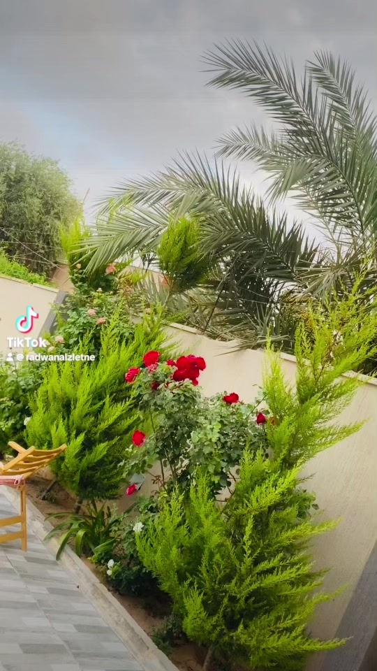 @رضوان الزليطني