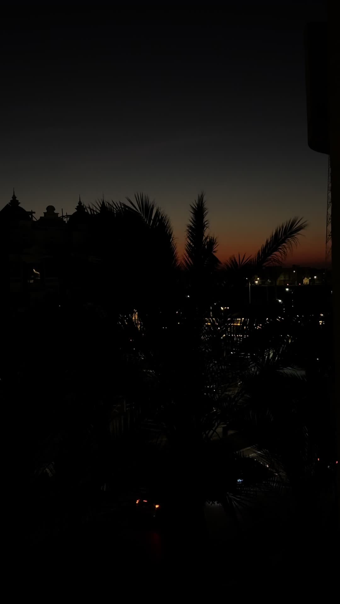 @dinaelamir86