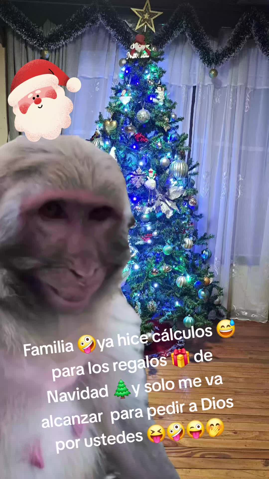 @Móny Hernandez