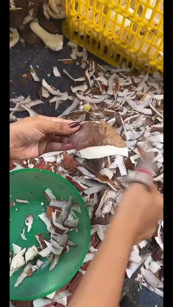 @Eni nyot nyot