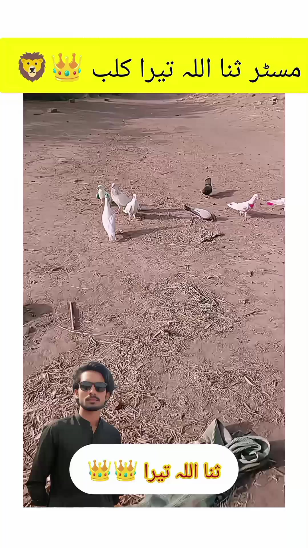 @ᴹʀ Ｓꪋⁿꪋ𝐮ไไꪋ𝚑