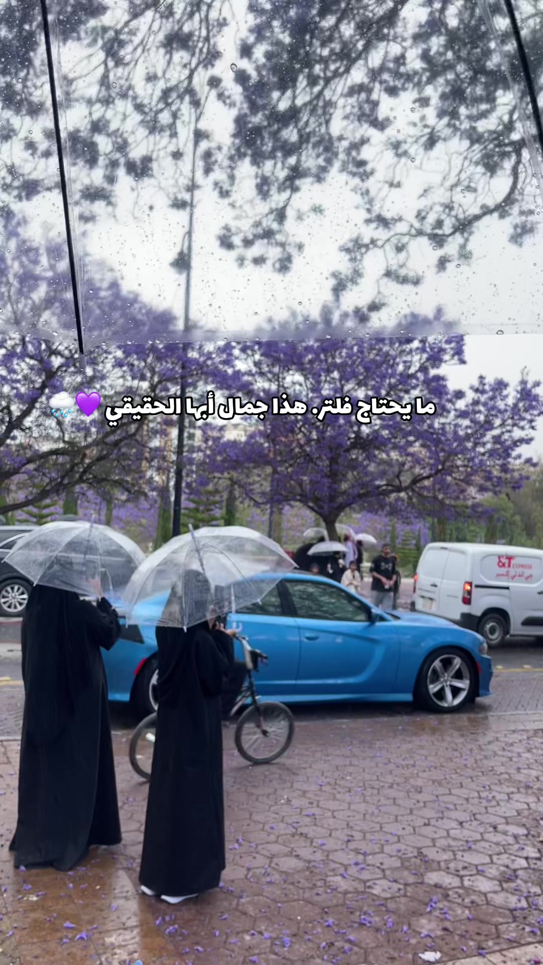 @مريـــــم الشهـــراني | أبها🏅