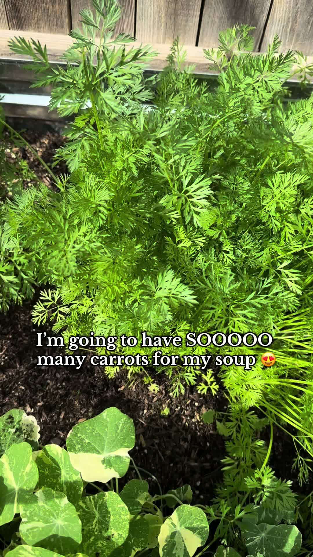 @plantingwithe